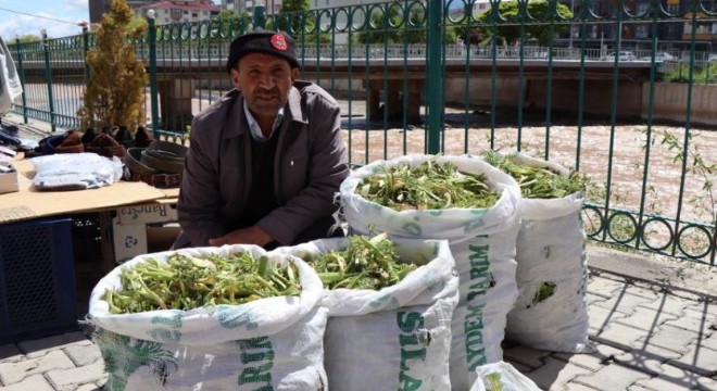  Çaşır tezgaha çıktı